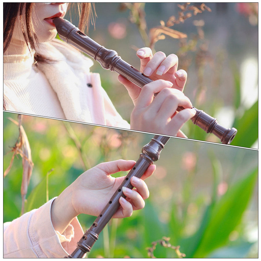 Professionele 8-gaats plastic  - Soprano Recorder Plastic recensie en prijs